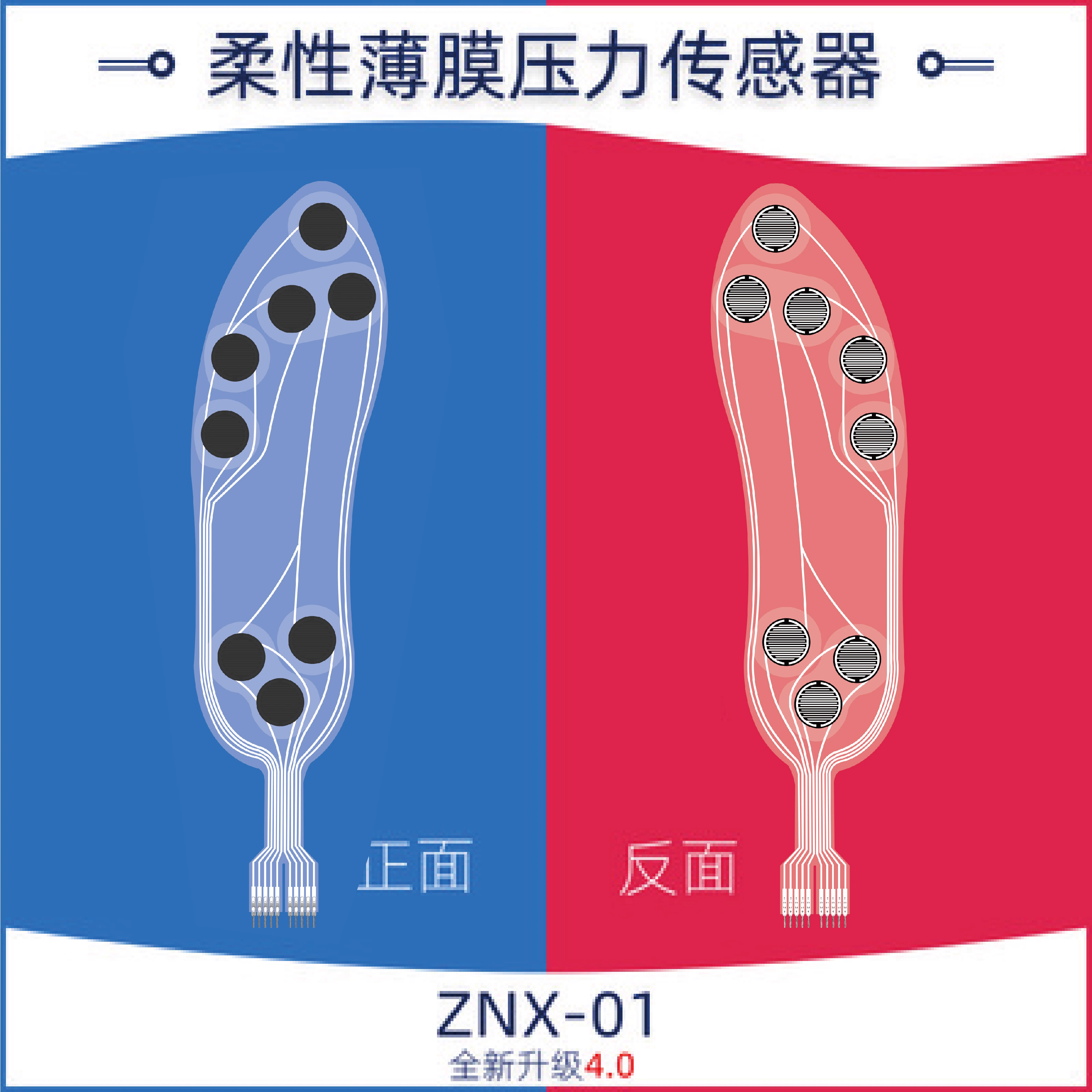Flexible Thin Film Pressure Se - Smart Insole Pressure บทวิจารณ์และราคา